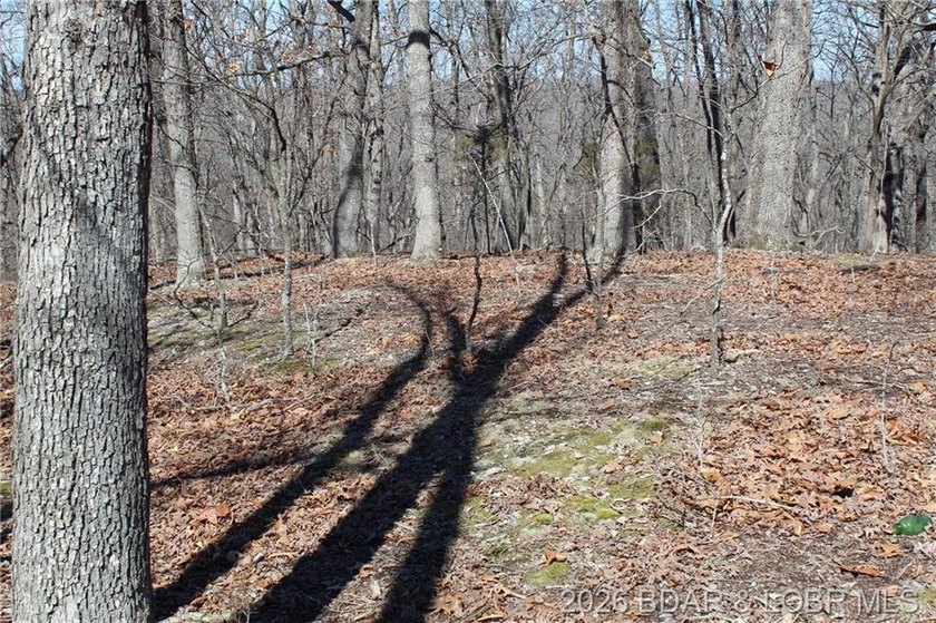 Hard-to-find 5-acre wooded tract with F Highway frontage in the - photo 17