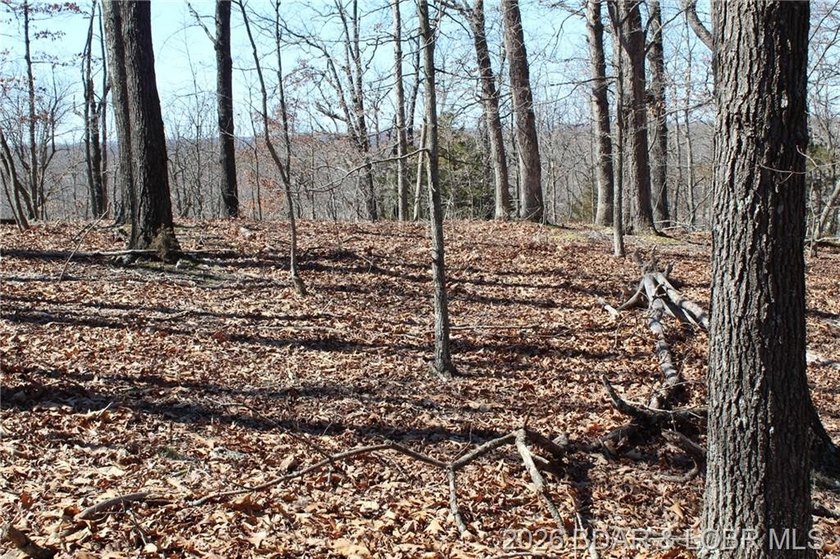 Hard-to-find 5-acre wooded tract with F Highway frontage in the - photo 18