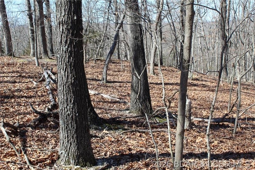 Hard-to-find 5-acre wooded tract with F Highway frontage in the - photo 19