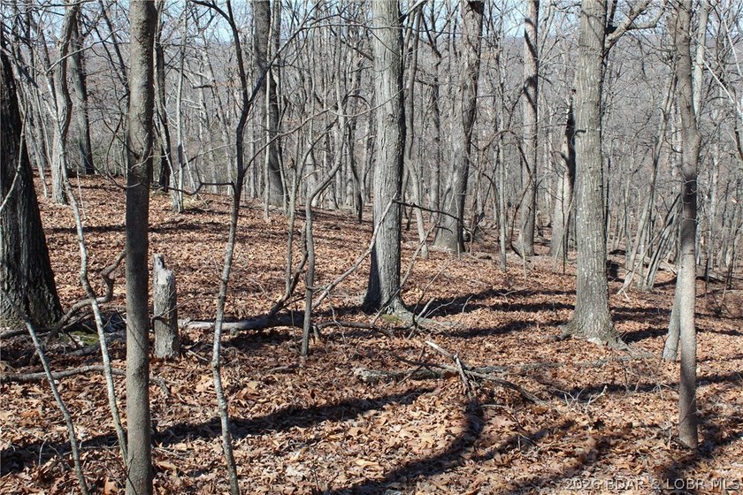 Hard-to-find 5-acre wooded tract with F Highway frontage in the - photo 20