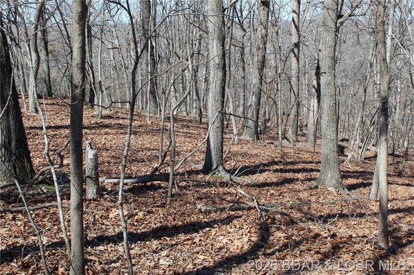 Hard-to-find 5-acre wooded tract with F Highway frontage in the - photo 20