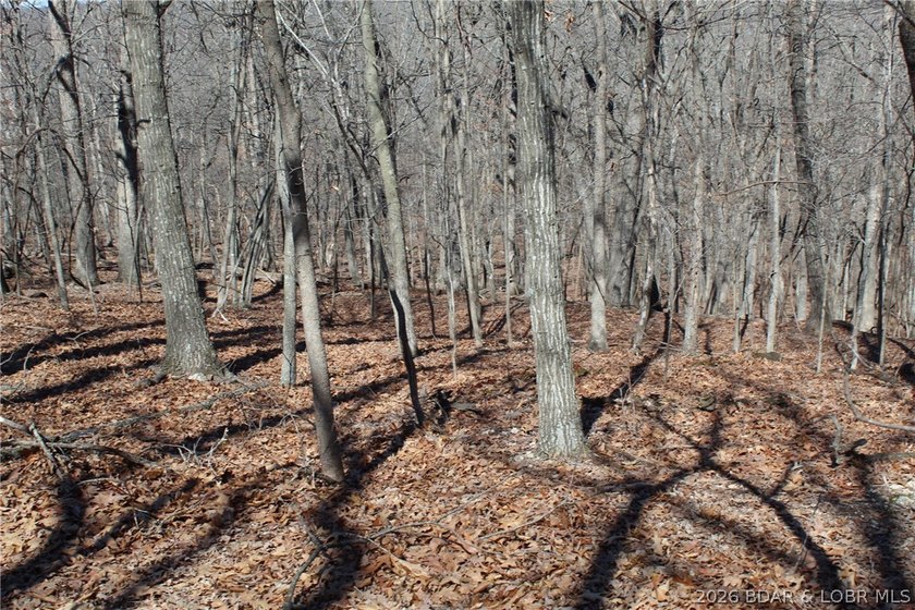 Hard-to-find 5-acre wooded tract with F Highway frontage in the - photo 21