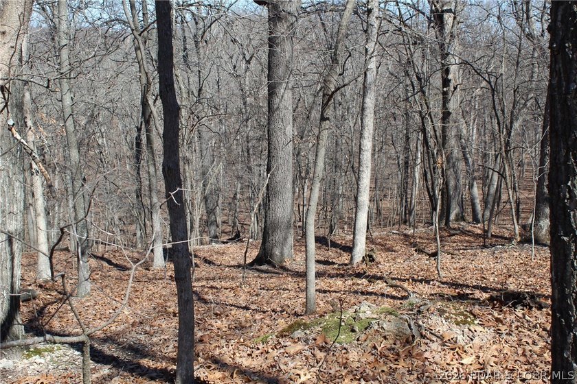 Hard-to-find 5-acre wooded tract with F Highway frontage in the - photo 22