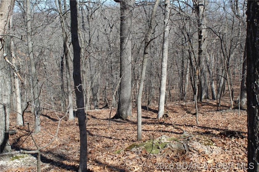 Hard-to-find 5-acre wooded tract with F Highway frontage in the - photo 22