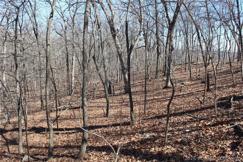 Hard-to-find 5-acre wooded tract with F Highway frontage in the - photo 25