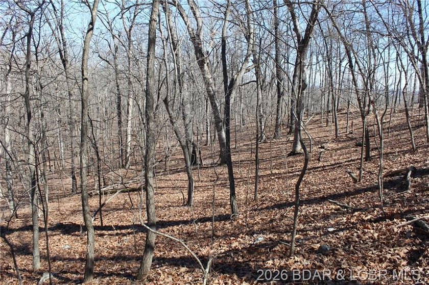 Hard-to-find 5-acre wooded tract with F Highway frontage in the - photo 25