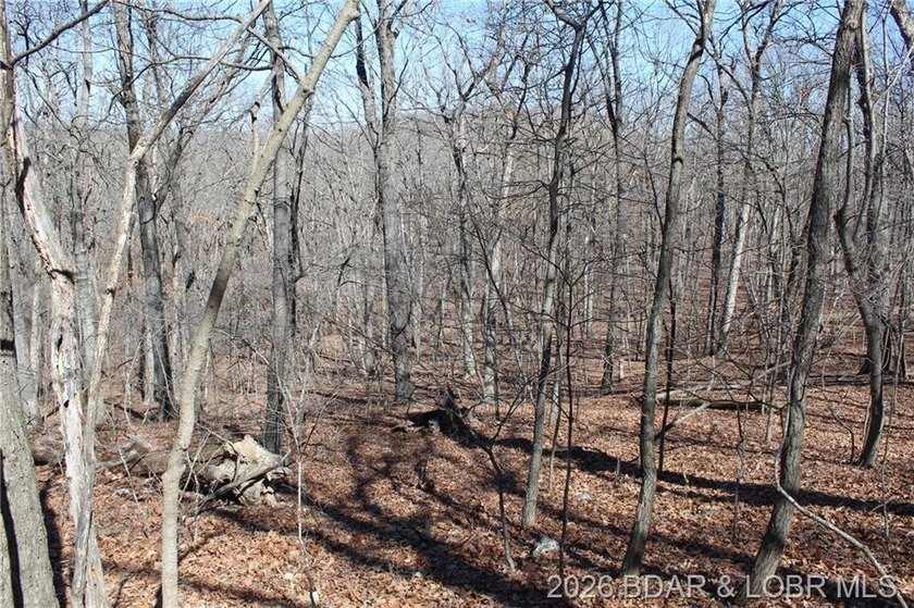 Hard-to-find 5-acre wooded tract with F Highway frontage in the - photo 26