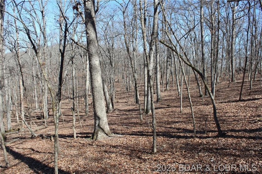 Hard-to-find 5-acre wooded tract with F Highway frontage in the - photo 27
