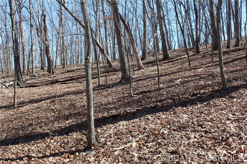 Hard-to-find 5-acre wooded tract with F Highway frontage in the - photo 29