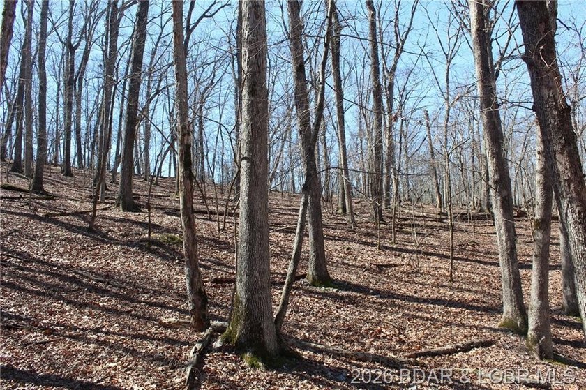 Hard-to-find 5-acre wooded tract with F Highway frontage in the - photo 30