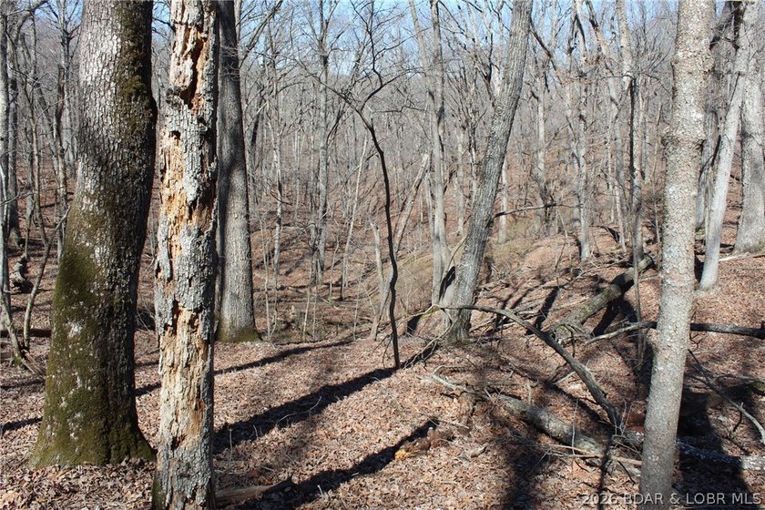 Hard-to-find 5-acre wooded tract with F Highway frontage in the - photo 31