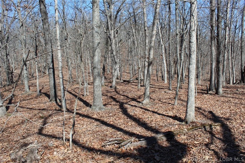 Hard-to-find 5-acre wooded tract with F Highway frontage in the - photo 32