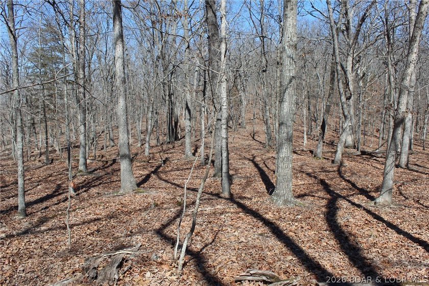 Hard-to-find 5-acre wooded tract with F Highway frontage in the - photo 33