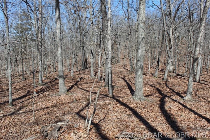 Hard-to-find 5-acre wooded tract with F Highway frontage in the - photo 33