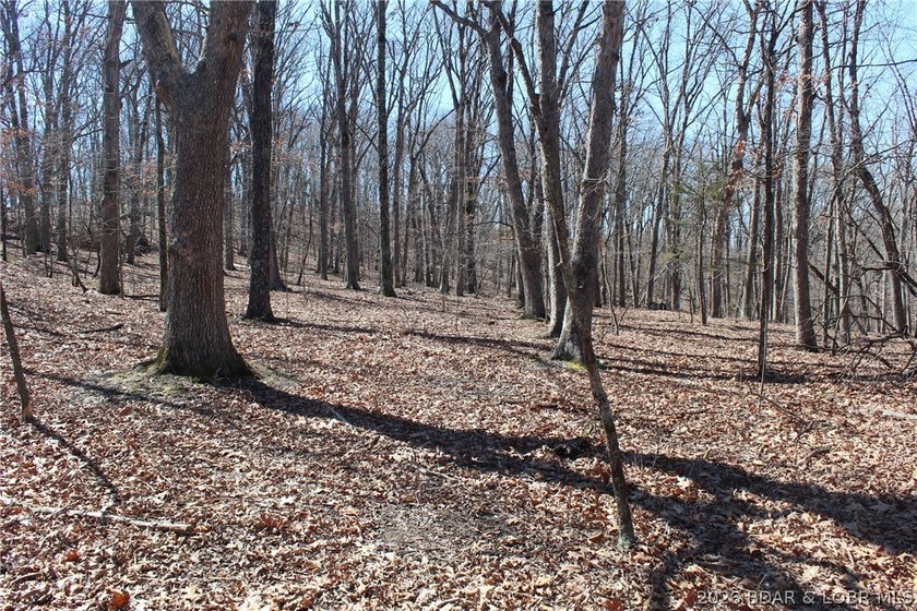 Hard-to-find 5-acre wooded tract with F Highway frontage in the - photo 34
