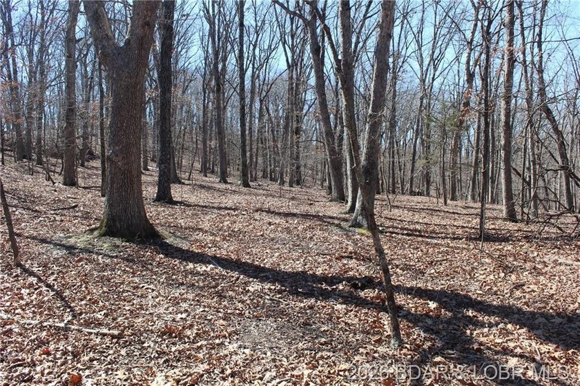 Hard-to-find 5-acre wooded tract with F Highway frontage in the - photo 34