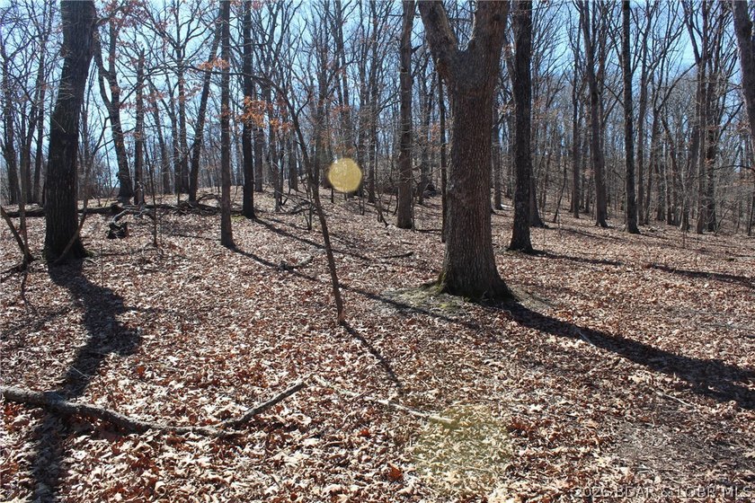 Hard-to-find 5-acre wooded tract with F Highway frontage in the - photo 35