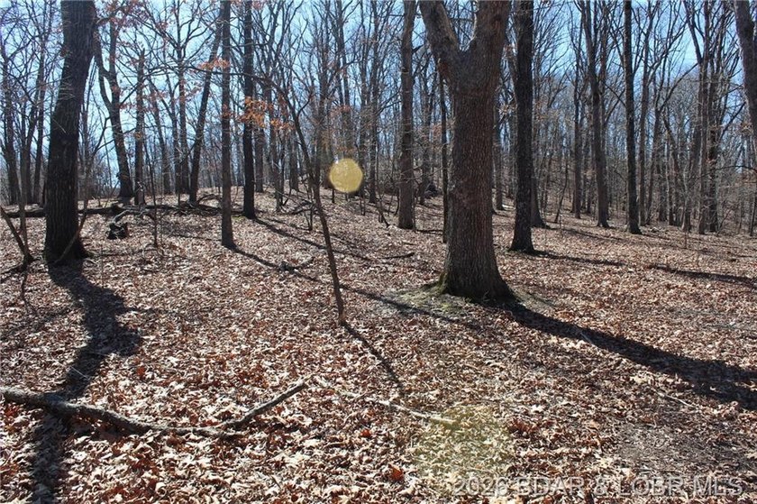 Hard-to-find 5-acre wooded tract with F Highway frontage in the - photo 35