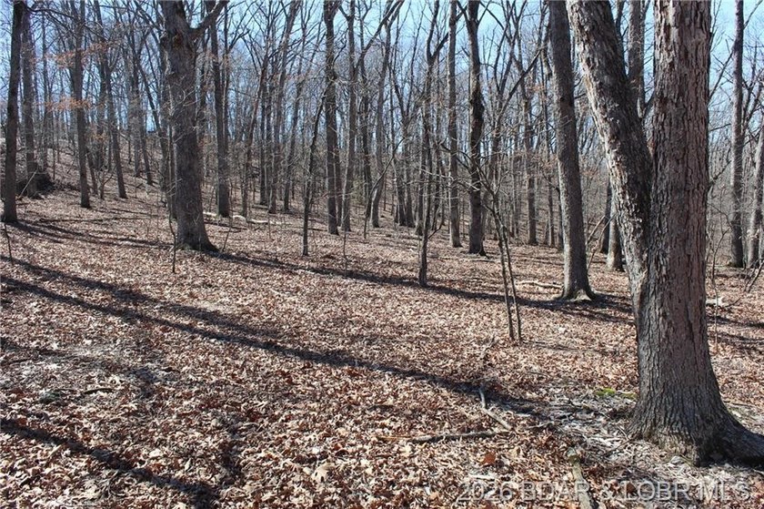 Hard-to-find 5-acre wooded tract with F Highway frontage in the - photo 36