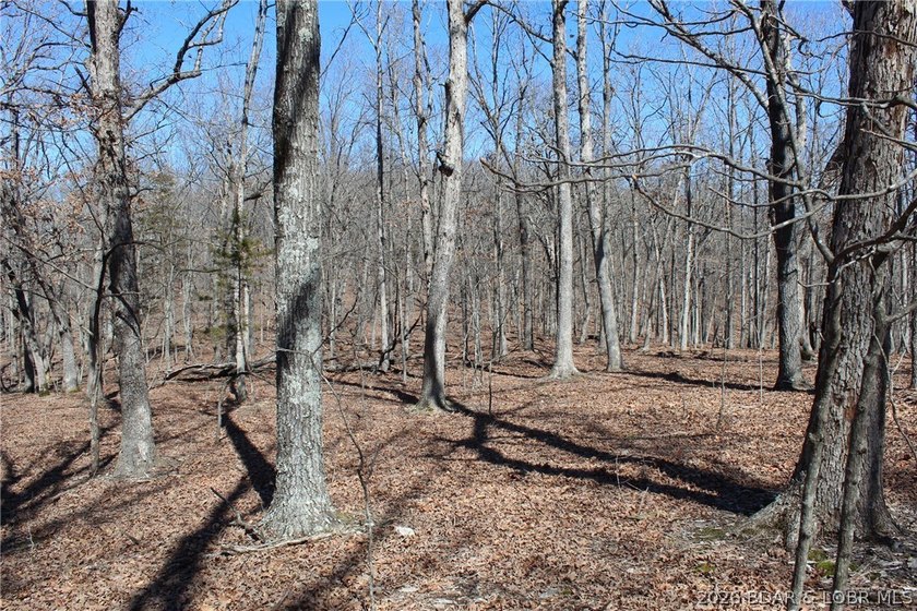 Hard-to-find 5-acre wooded tract with F Highway frontage in the - photo 37
