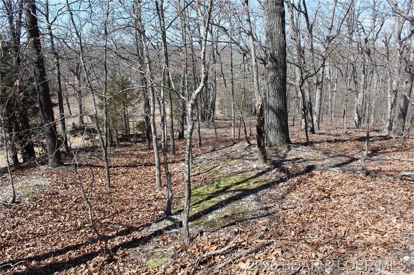 Hard-to-find 5-acre wooded tract with F Highway frontage in the - photo 38