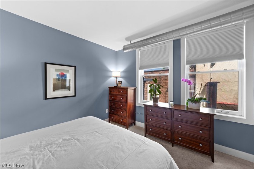 Welcome to Franklin Lofts in the heart of Ohio City's vibrant - photo 20