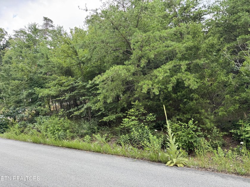 Build your dream home in one of Cherokee Lake's premier gated - photo 10