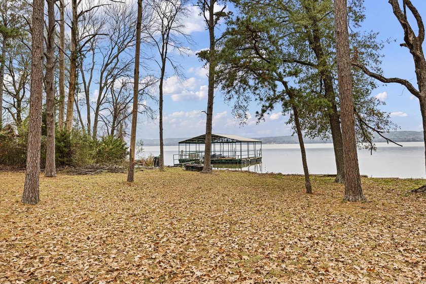 Discover exceptional lakefront living on Lake Dardanelle with - photo 8