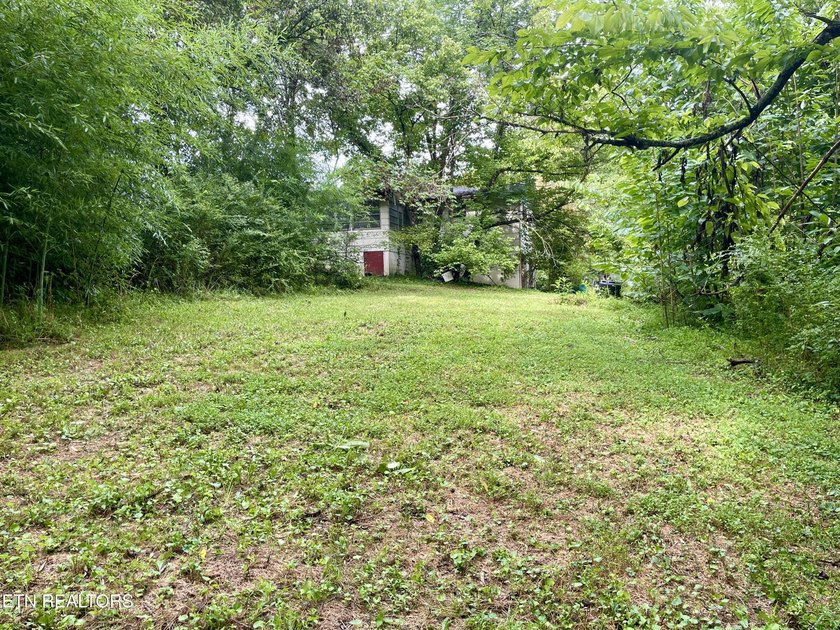 Investment opportunity in South Knoxville! This property is - photo 8
