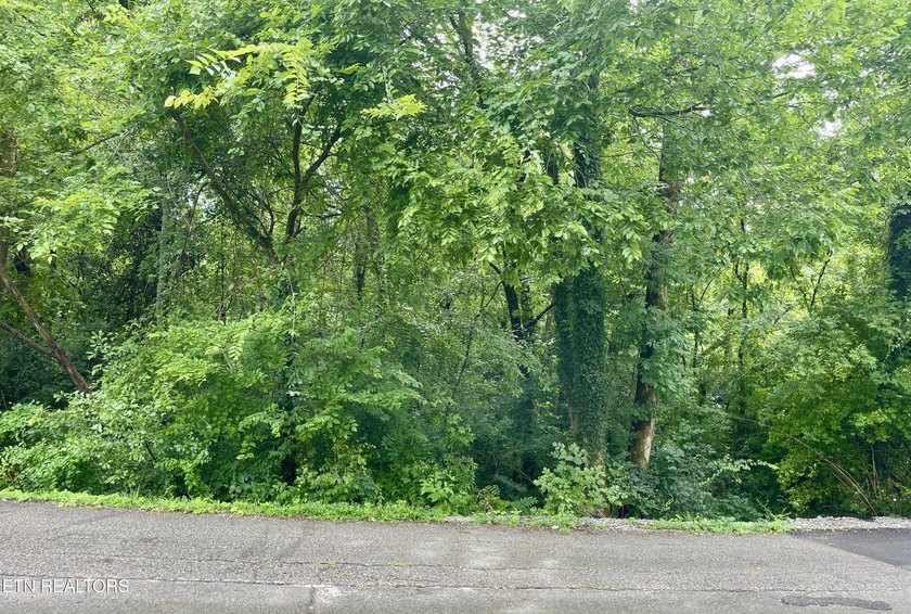 Investment opportunity in South Knoxville! This property is - photo 3
