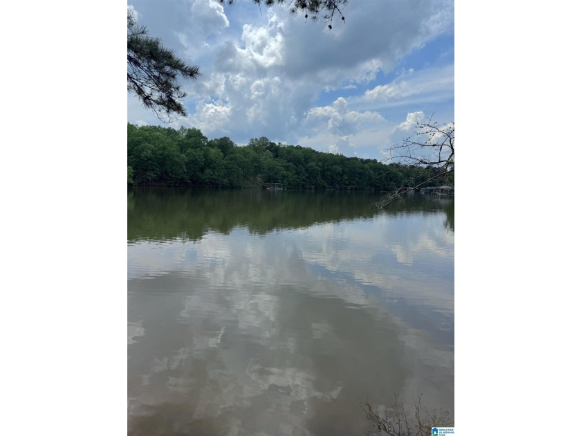 1.54+/- Acres on Beautiful Lake Wedowee 353+/ Feet of Shoreline! - photo 2