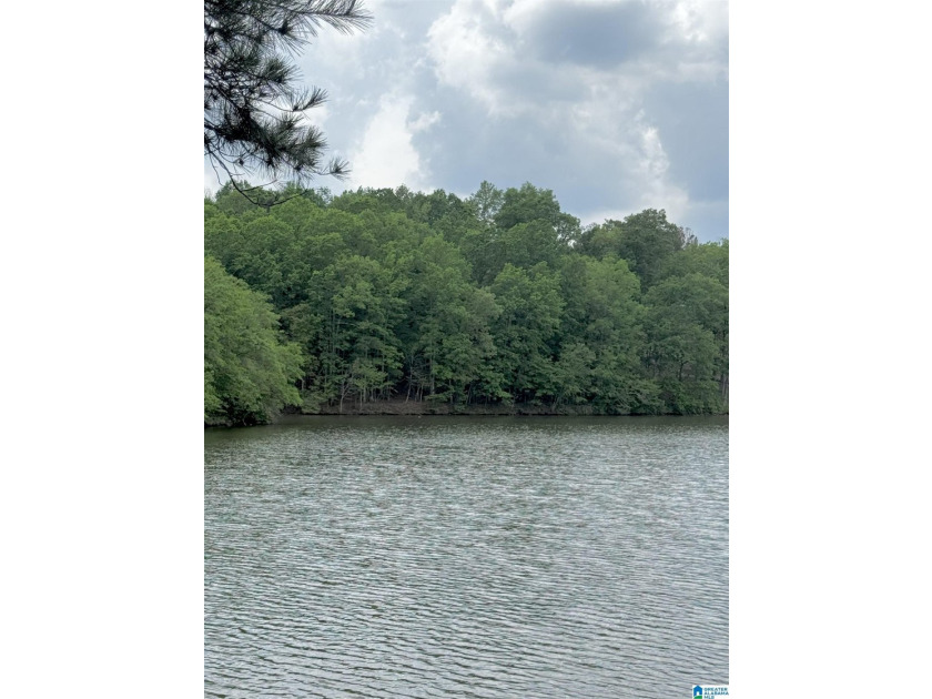 1.54+/- Acres on Beautiful Lake Wedowee 353+/ Feet of Shoreline! - photo 3