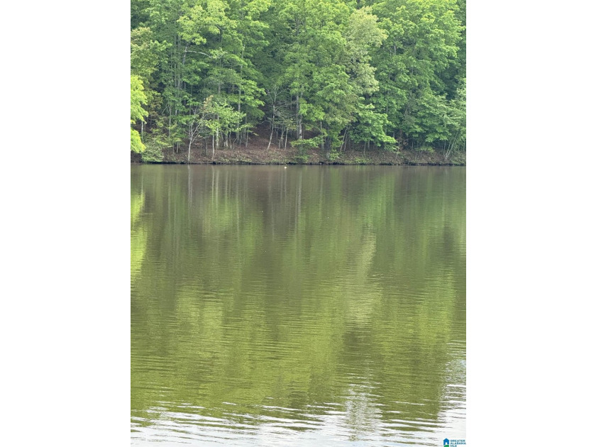 1.54+/- Acres on Beautiful Lake Wedowee 353+/ Feet of Shoreline! - photo 4