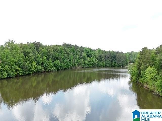 1.54+/- Acres on Beautiful Lake Wedowee 353+/ Feet of Shoreline! - photo 6