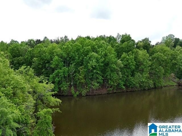 1.54+/- Acres on Beautiful Lake Wedowee 353+/ Feet of Shoreline! - photo 7