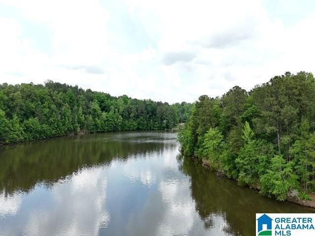 1.54+/- Acres on Beautiful Lake Wedowee 353+/ Feet of Shoreline! - photo 8
