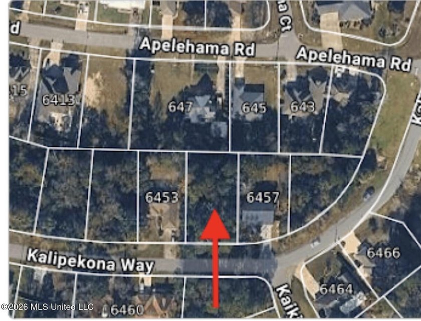 Nice lot in Diamondhead. This lot has easy access to all - photo 3