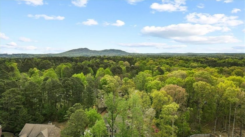 Talk about a hidden gem, nestled in a quiet neighborhood in a - photo 5