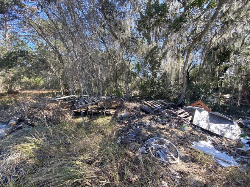 Less than 1.5 miles from the shores of Lake Marion in Poinciana - photo 3