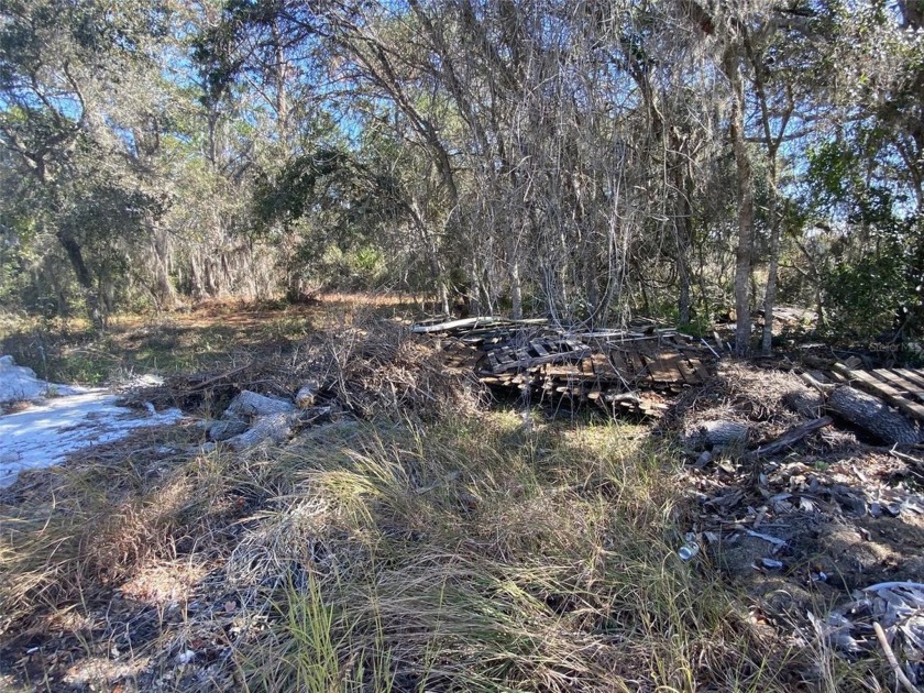 Less than 1.5 miles from the shores of Lake Marion in Poinciana - photo 4