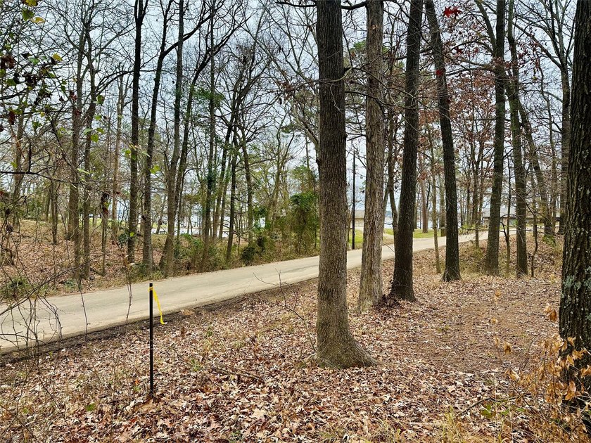 Are you ready to build your lake home in Hope's Landing at Lake - photo 2