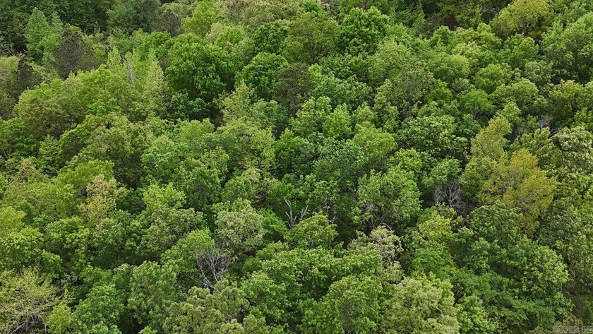 Discover the perfect blend of nature and convenience on this - photo 2