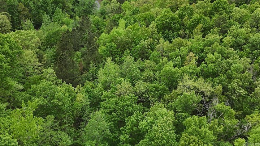 Discover the perfect blend of nature and convenience on this - photo 3
