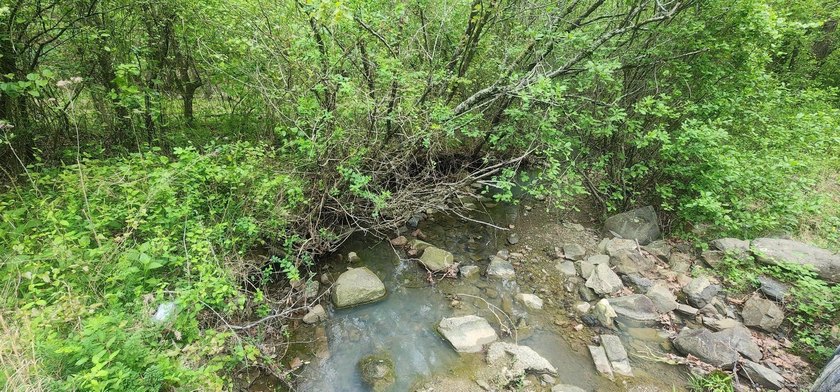 Discover the perfect blend of nature and convenience on this - photo 5