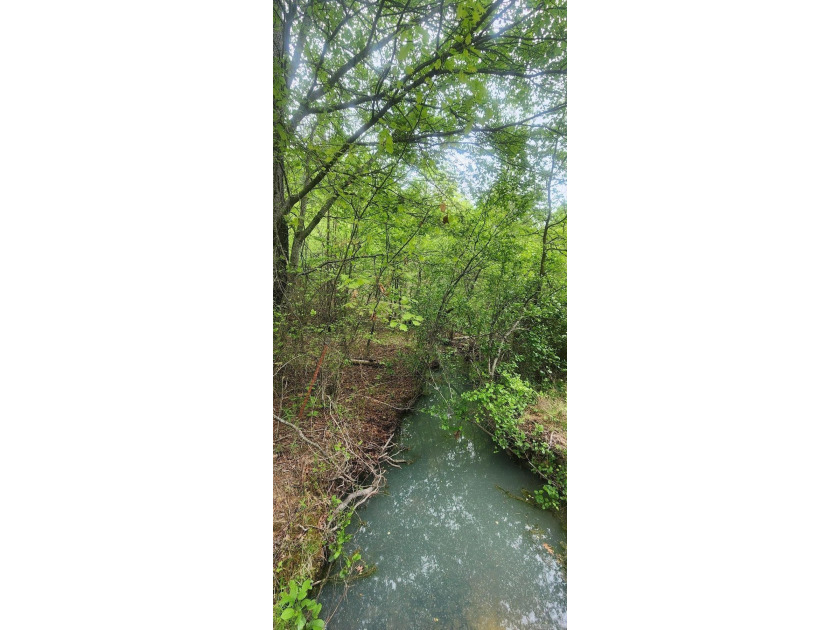 Discover the perfect blend of nature and convenience on this - photo 6