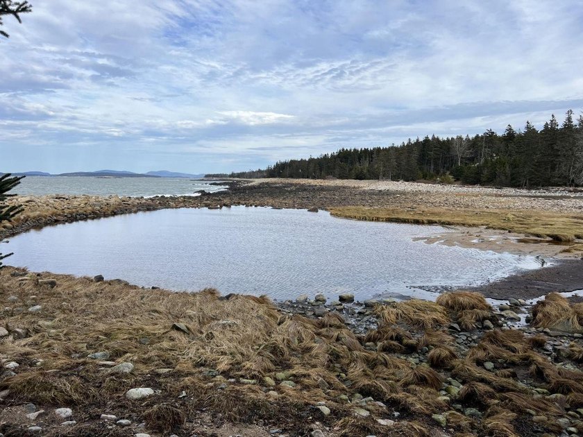 Large bold oceanfront parcel on the west facing shore of - photo 14