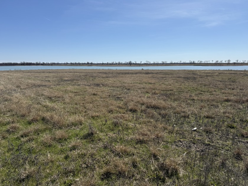 300+ feet of shoreline on Lake Halbert/Magnolia! - photo 20