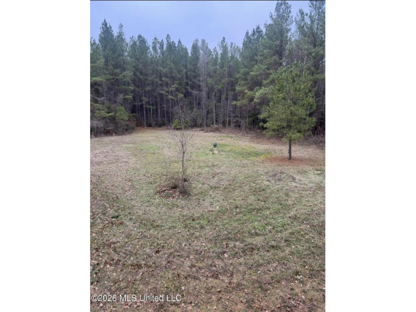 This 50+/- acre tract in the East Lincoln community of Lincoln - photo 2