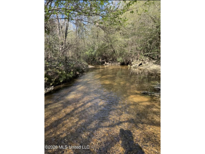 This 50+/- acre tract in the East Lincoln community of Lincoln - photo 3
