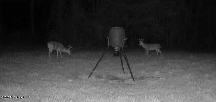 This 50+/- acre tract in the East Lincoln community of Lincoln - photo 7